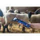Avių vilnos kirpimo mašinėlė FarmClipper 4